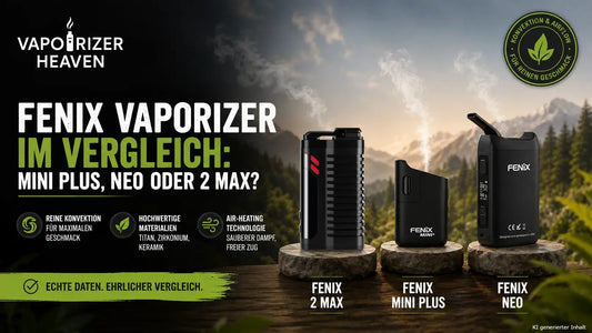 Fenix Markenguide Blog Banner