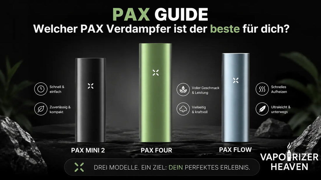 PAX Guide - Welcher PAX Verdampfer ist der beste für dich?
