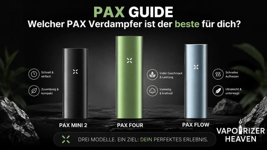 PAX Guide - Welcher PAX Verdampfer ist der beste für dich?