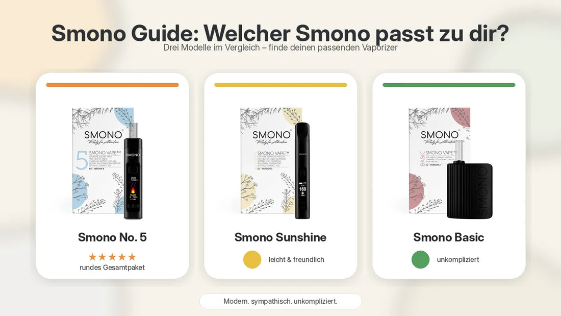 Smono Guide: Welcher Smono passt zu dir?