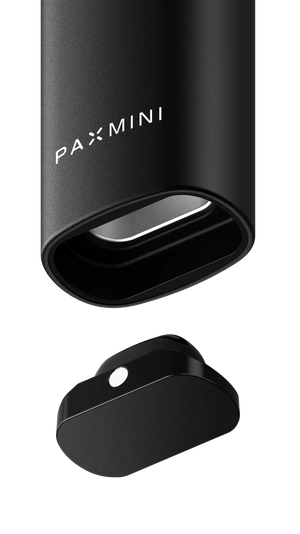 Cámara de llenado del PAX Mini 2