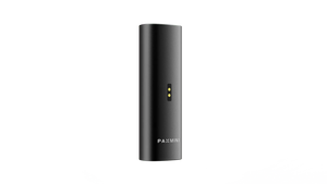 PAX Mini 2 inclinado